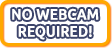 No webcam required